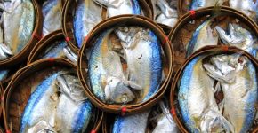 Beneficios para la salud del pescado azul