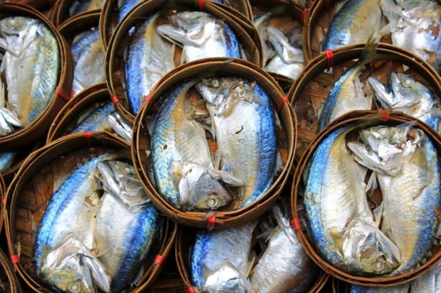 Beneficios para la salud del pescado azul