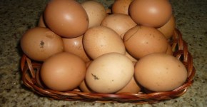 Los huevos, naturales y nutritivos