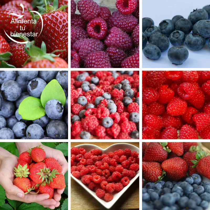 Frutas depurativas y antioxidantes fresas frambuesas arándanos
