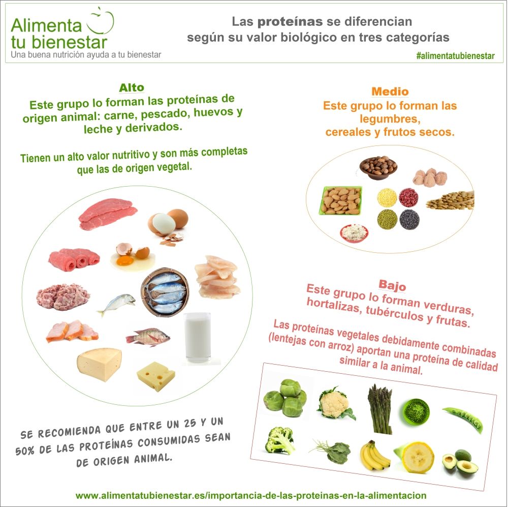 Infografía Proteínas en la alimentación