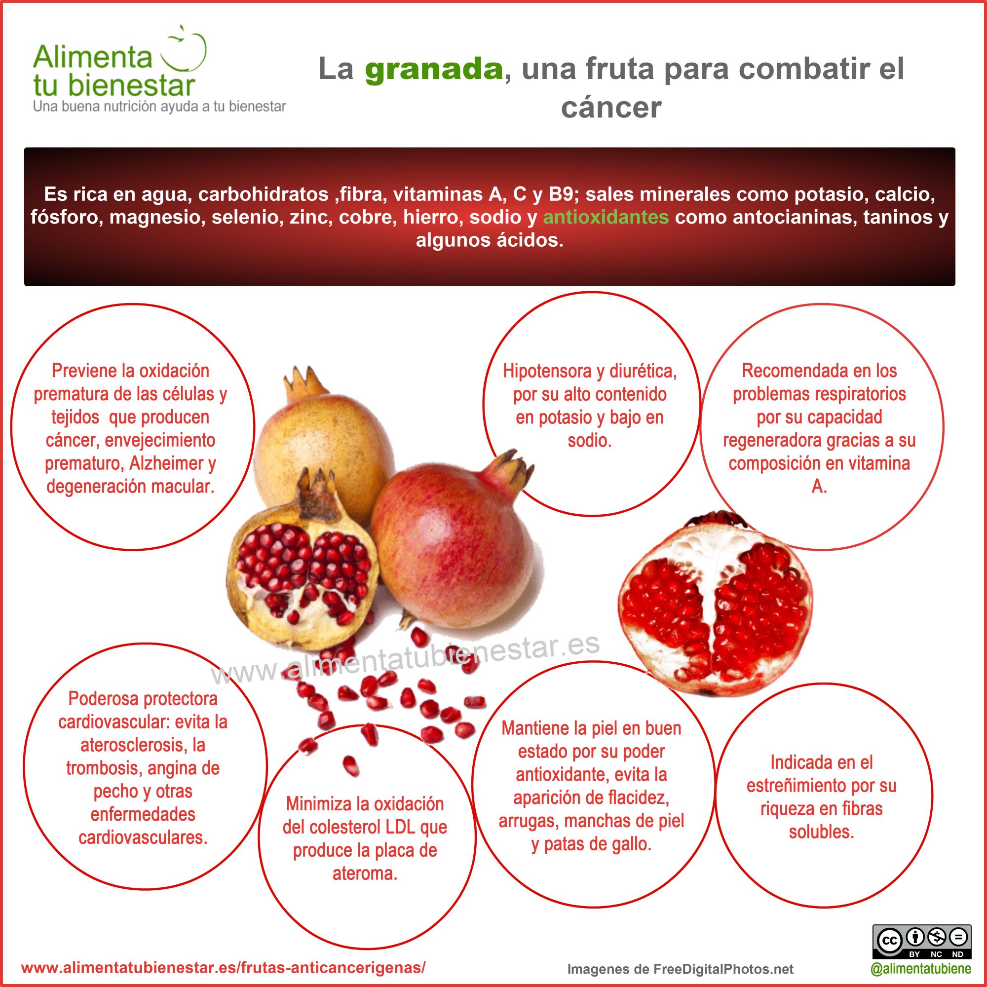 Frutas antiancerígenas: la granada