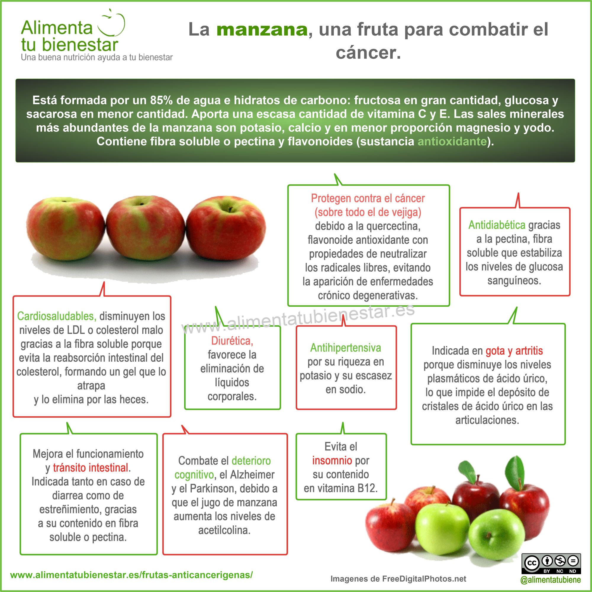 Frutas antiancerígenas: la manzana