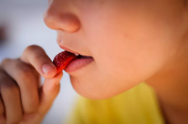 Los sentidos en la alimentación