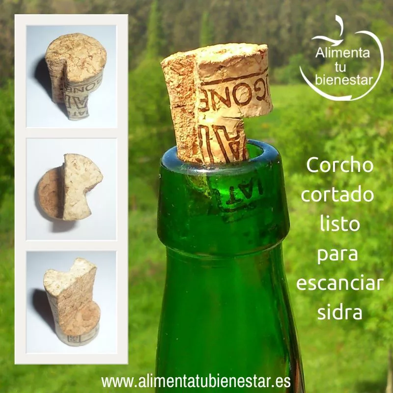 beneficios de la sidra para la salud - escanciador casero