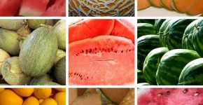 Melón y sandía
