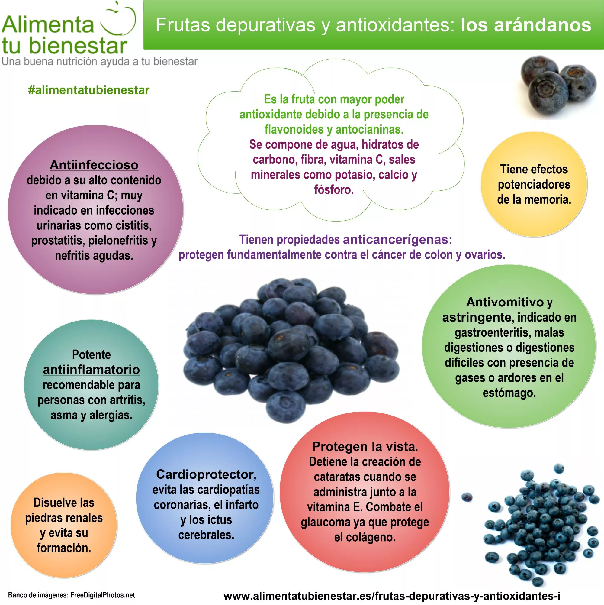 Infografía Frutas depurativas y antioxidantes Los Arándanos
