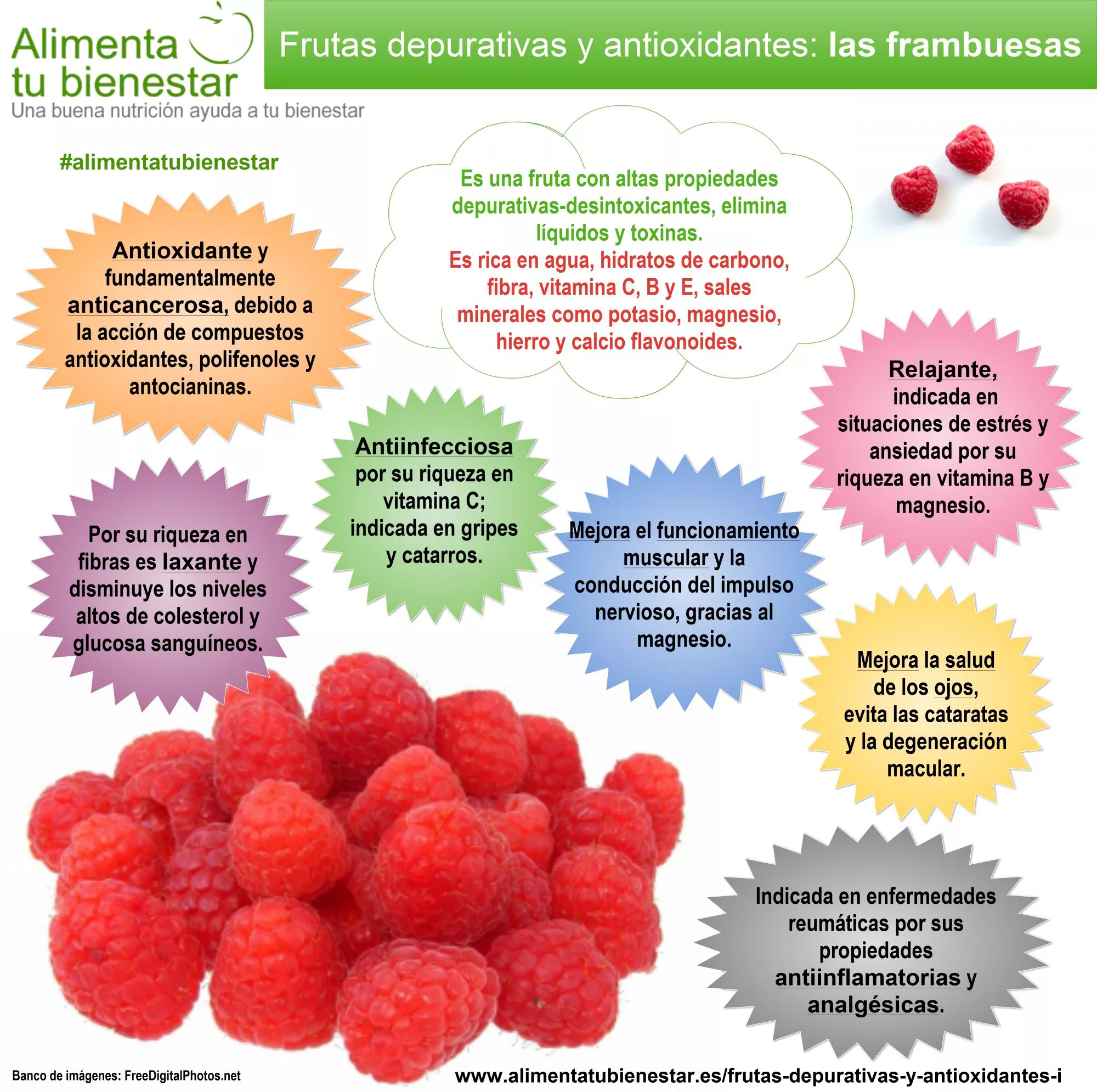 Infografía Frutas depurativas y antioxidantes Las Frambuesas
