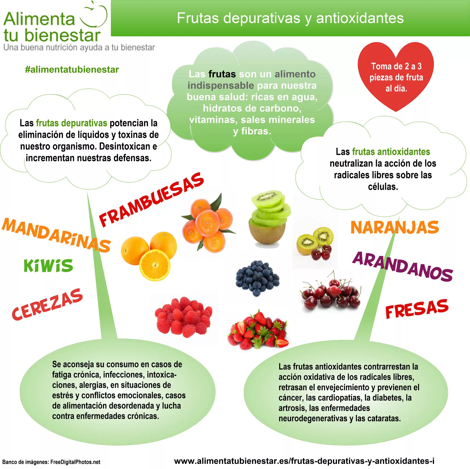 Infografía Frutas depurativas y antioxidantes