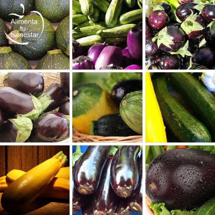 Verduras antioxidantes propiedades calabacín y berenjena