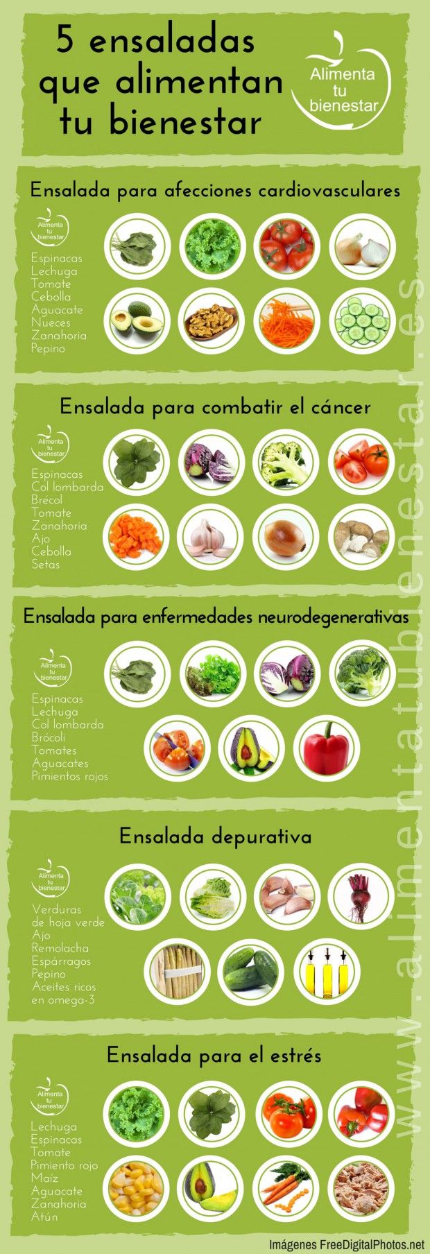 Infografía Ensaladas que alimentan tu salud y bienestar