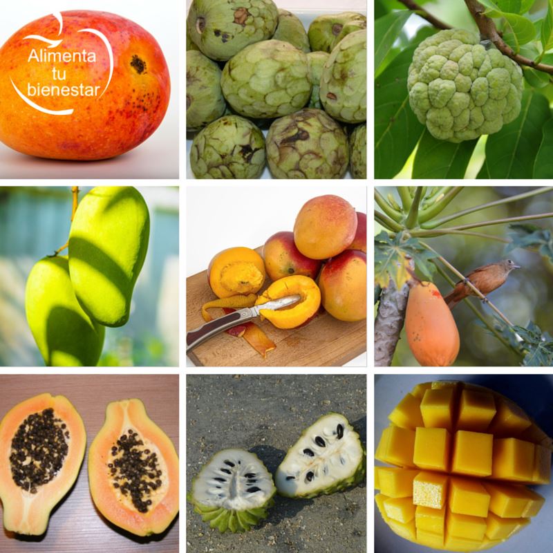 Frutas antioxidantes tropicales: papaya, mango y chirimoya