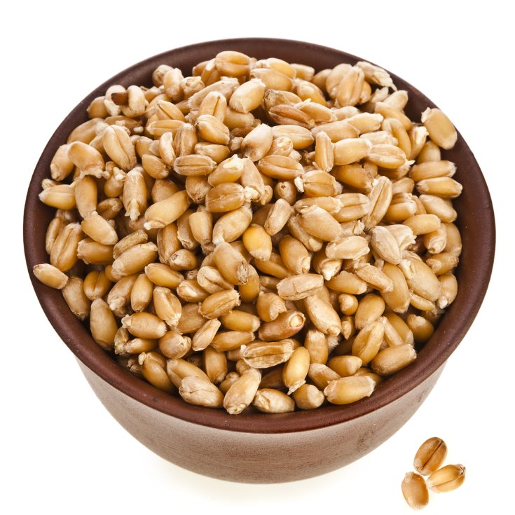 mejores cereales integrales - germen de trigo