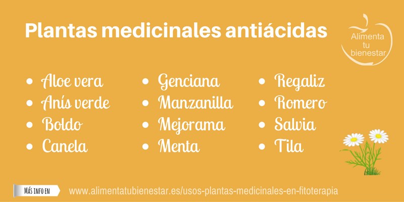 Plantas medicinales antiácidas