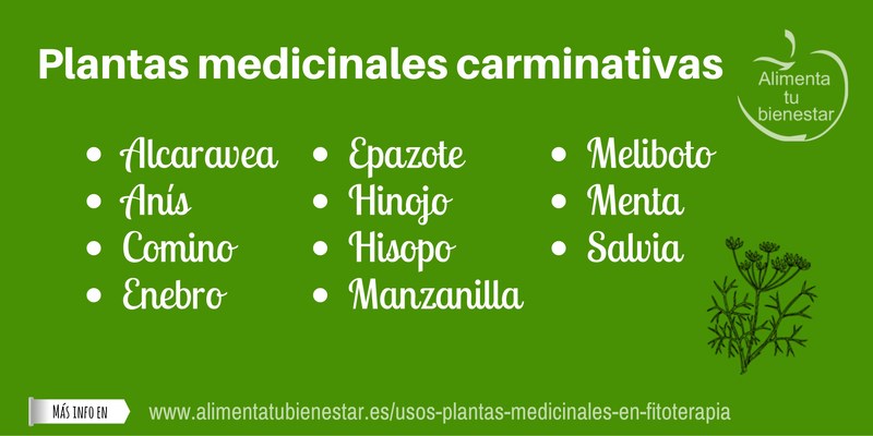 Plantas medicinales carminativas
