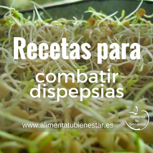 Recetas para combatir las dispepsias